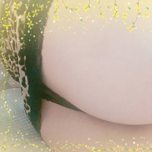 がんばりま～す！！