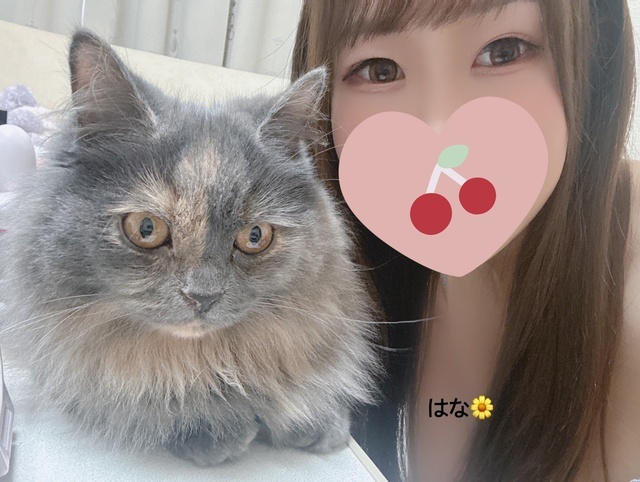 🐈