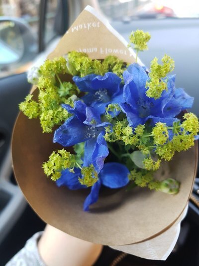 こんにちは〜|写メ日記|ミルク|韓国デリヘル 恋の季節