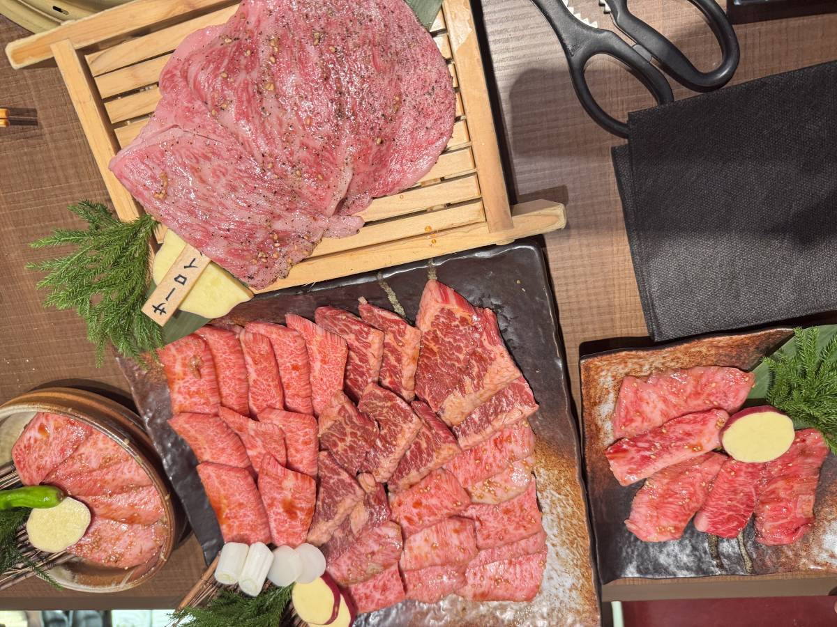 待機に入ったよ😽