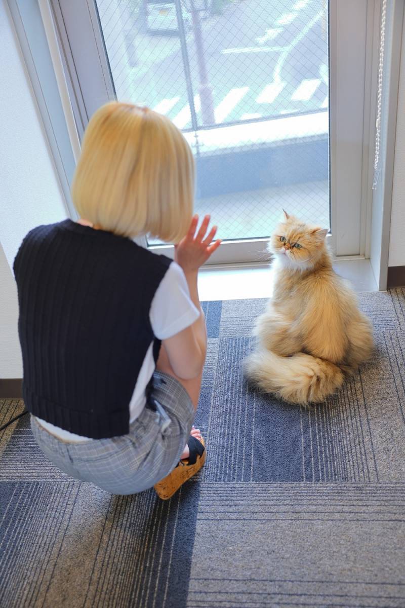 お相手お願いいたします☆